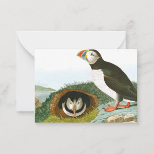 Puffin by John James Audubon Card