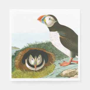 Puffin by John James Audubon Napkin