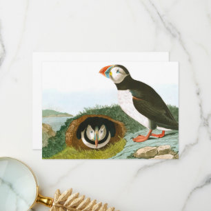 Puffin by John James Audubon Thank You Card