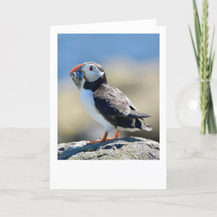 Puffin Card