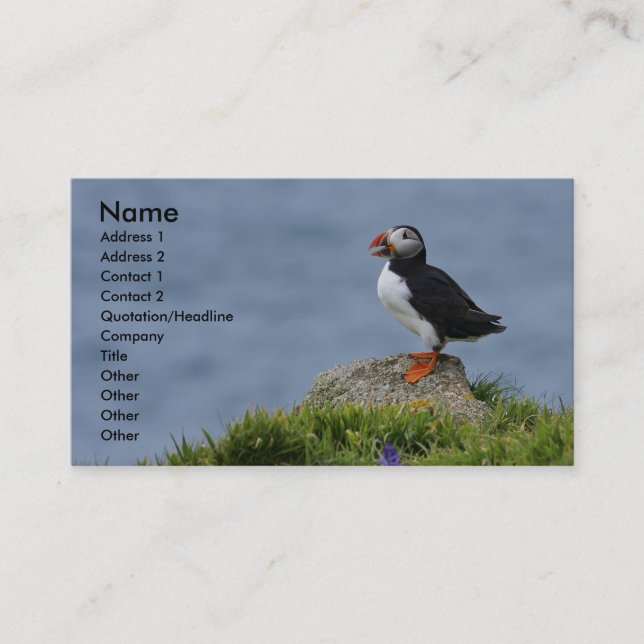 Puffin Card (Front)