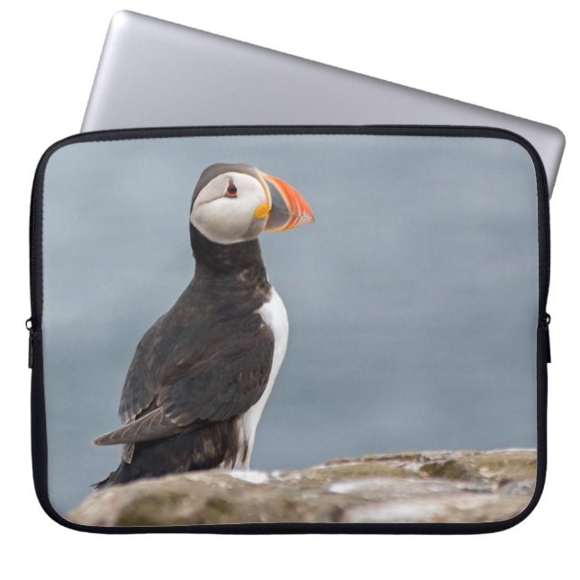 Puffin case (Front)
