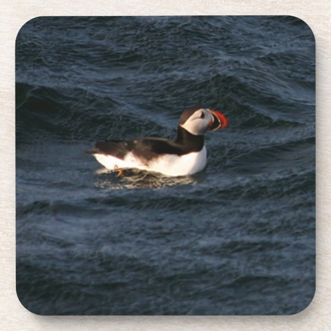 Puffin Coaster (Front)