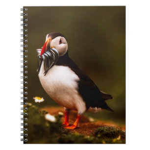 Puffin Fish Animal Bird Wildlife Atlantic Island Notebook