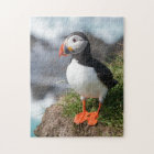 Puffin Fratercula arctica at Látrabjarg Iceland