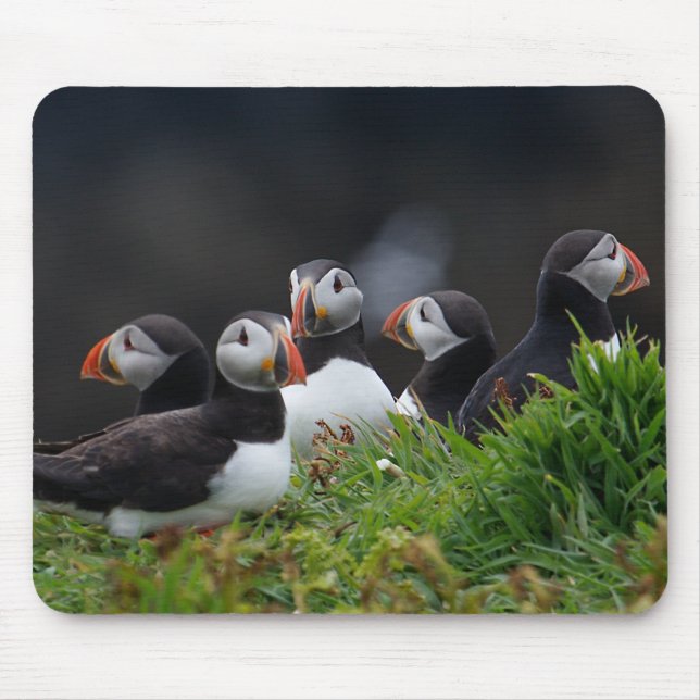 Puffin Gang Mouse Mat (Front)