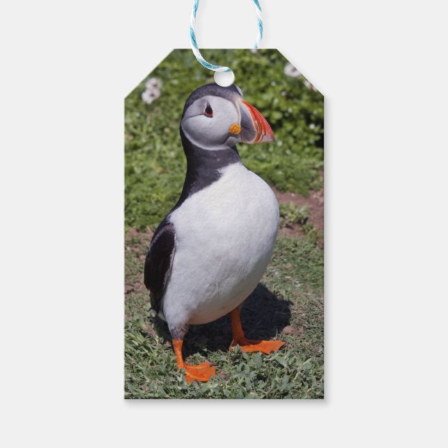 Puffin Gift Tags (Front)