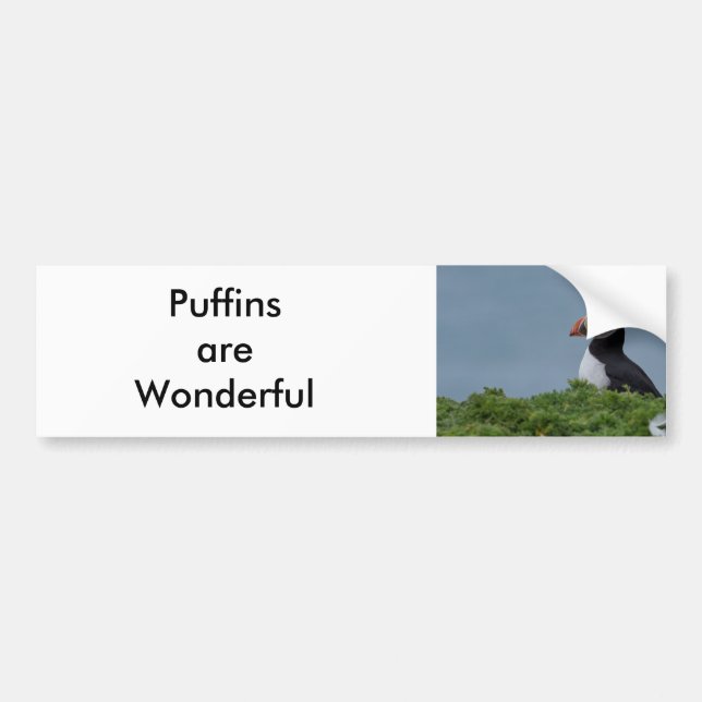 Puffin  I Bumper Sticker (Front)