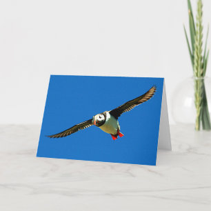 Puffin in Flight Card