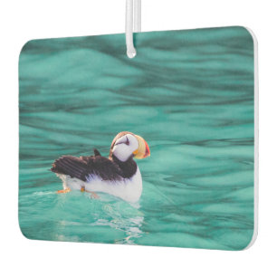 Puffin In Resurrection Bay, Alaska Car Air Freshener