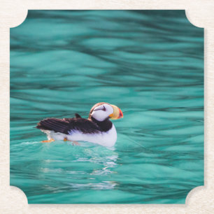 Puffin In Resurrection Bay, Alaska Paper Coaster