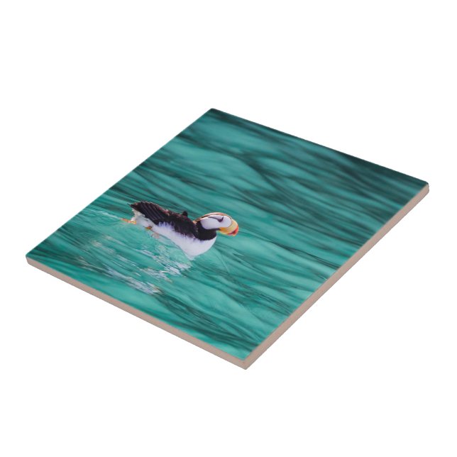 Puffin In Resurrection Bay, Alaska Tile (Side)
