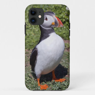 Puffin iPhone5 Case-Mate Case