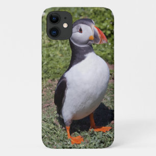Puffin iPhone 11 Case