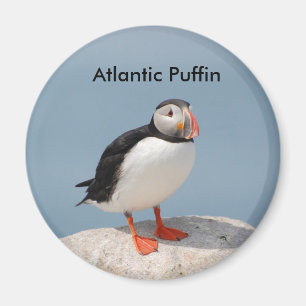 Puffin magnet