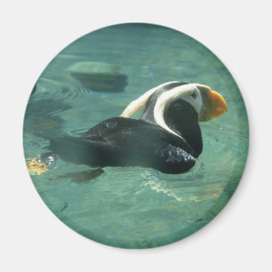 Puffin Magnet