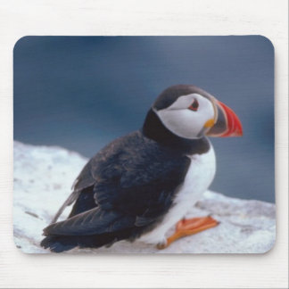 Puffin Mouse Mat