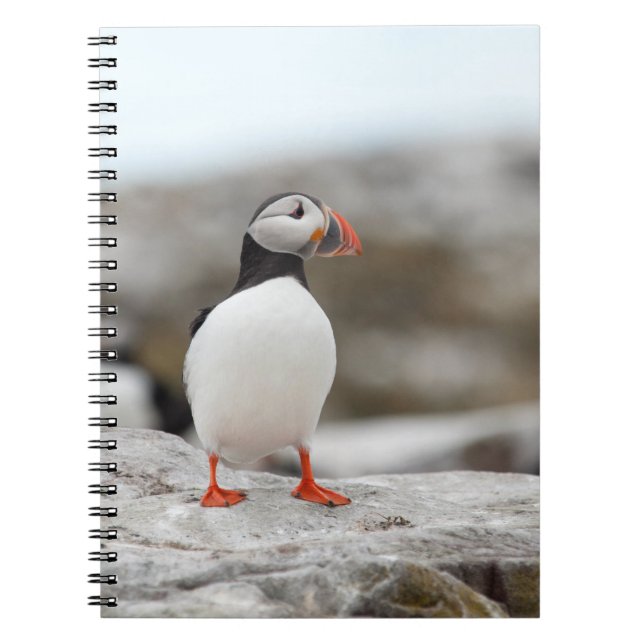 Puffin Notebook (Front)