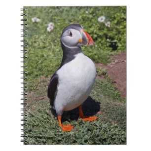 Puffin Notebook