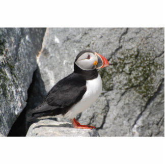 Puffin on rocks sculpture standing photo sculpture