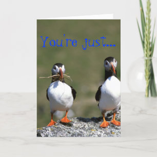 Puffin Pair Valentine's Card 'So my type'