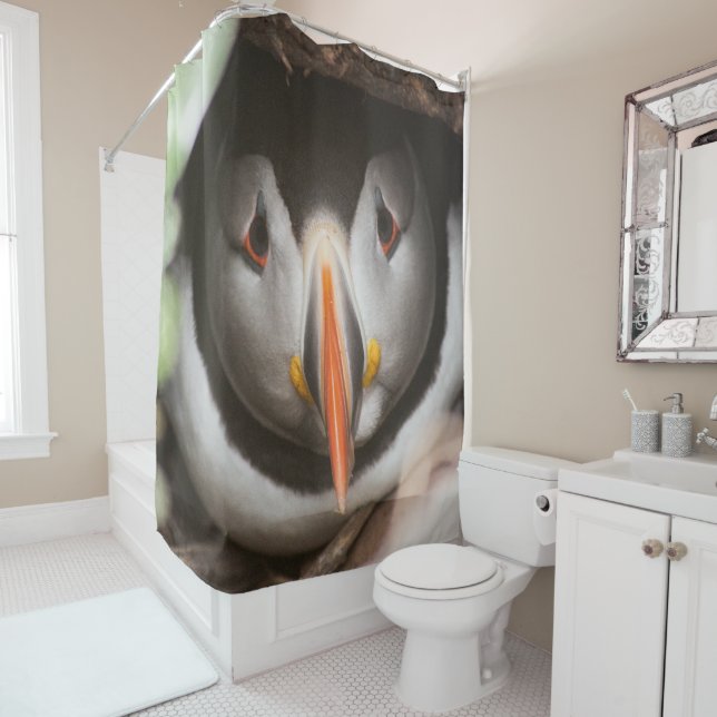 Puffin photograph shower curtain (In Situ)
