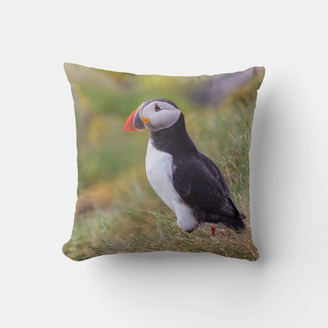 Puffin pillow (Front)