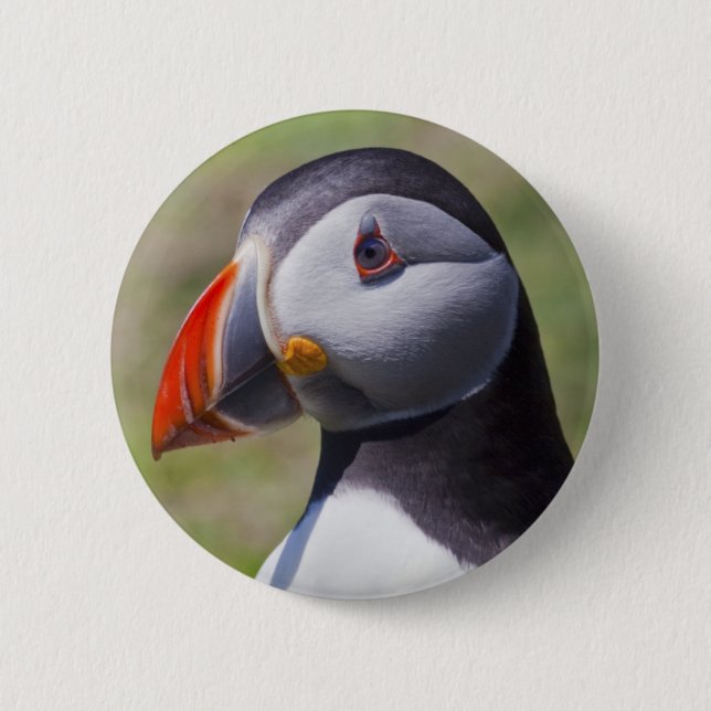 Puffin Portrait Badge (Front)