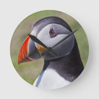 Puffin Portrait Clock