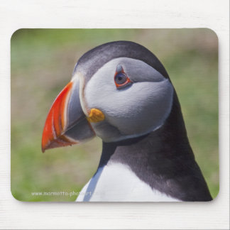 Puffin Portrait Mousemat
