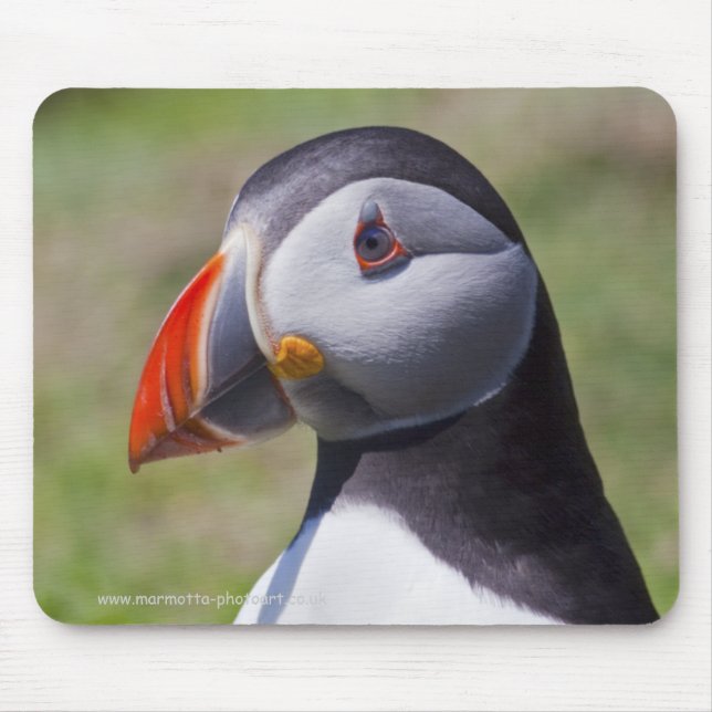 Puffin Portrait Mousemat (Front)