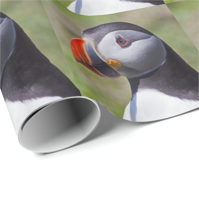 Puffin Portrait Wrapping Paper (Roll Corner)