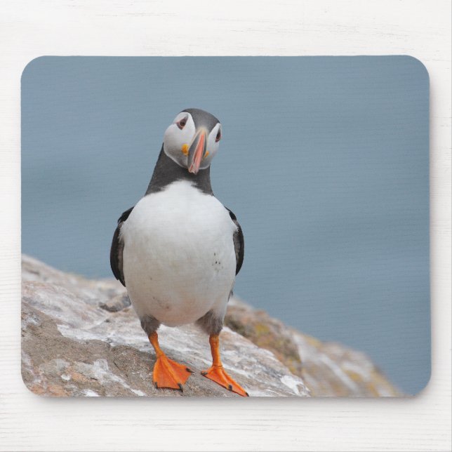 Puffin Pose Mouse Mat (Front)