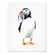 Puffin Print
