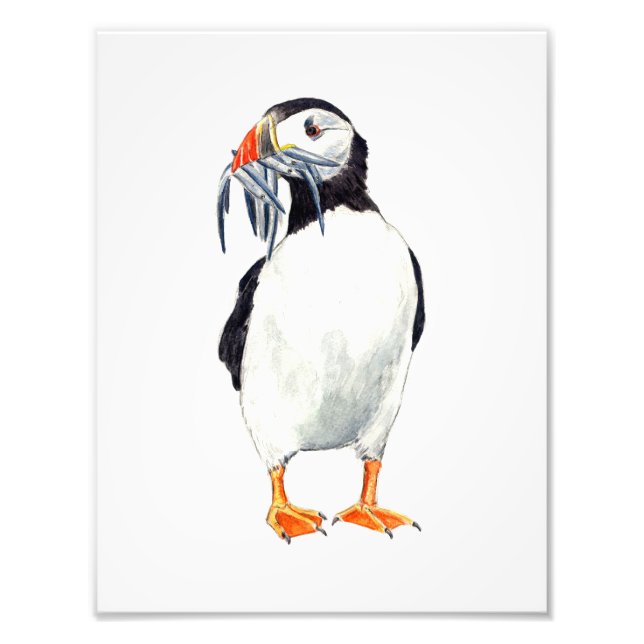 Puffin Print (Front)