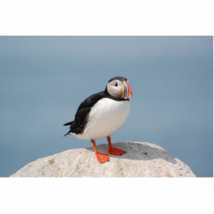 Puffin sculpture standing photo sculpture