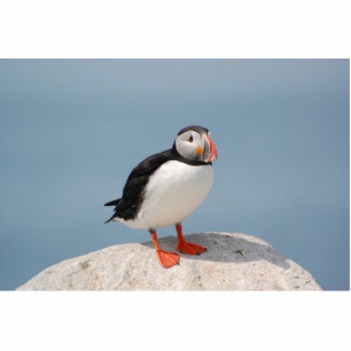Puffin sculpture standing photo sculpture