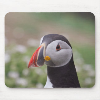 Puffin Side View Mouse Mat