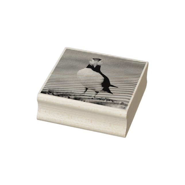 Puffin Stamp (Stamp)