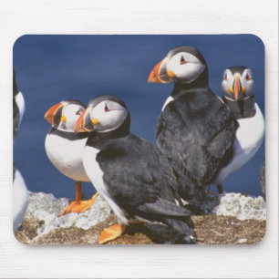 Puffin-tastic Mouse Mat
