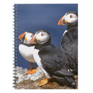 Puffin-tastic Notebook