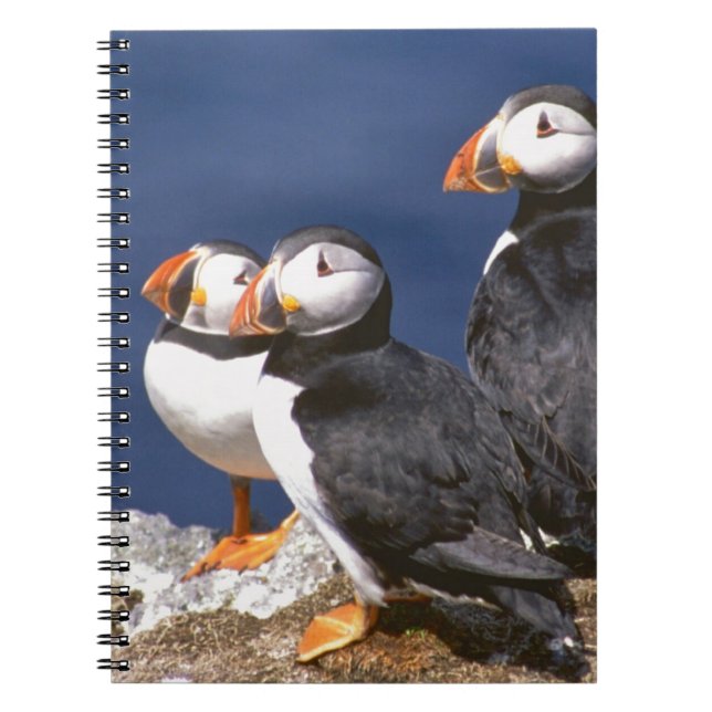 Puffin-tastic Notebook (Front)