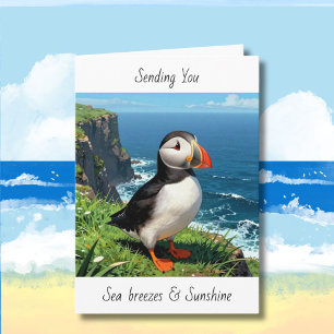 Puffin   Thinking of You   Well Wishes Card