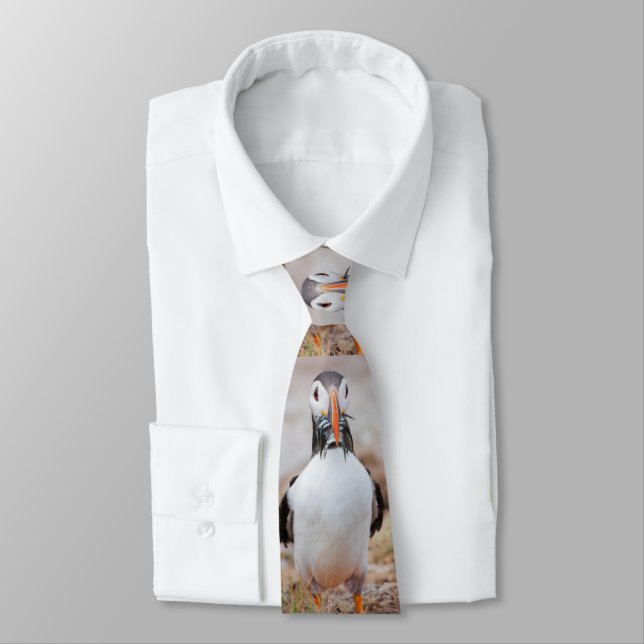 Puffin Tie (Tied)