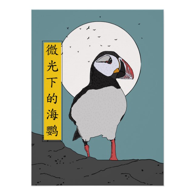 Puffin Under the Pale Light Poster (Front)