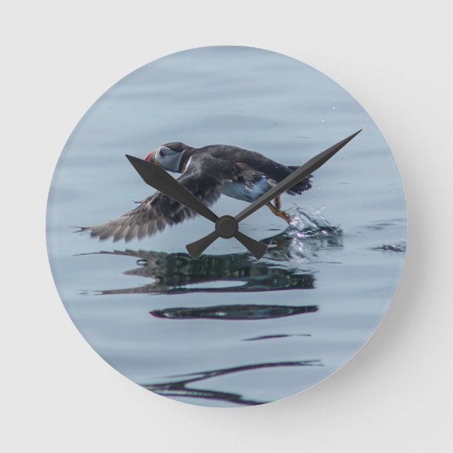Puffin Wall Clock (Front)