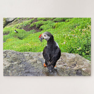 Puffin with fish in its beak, Ireland Jigsaw Puzzle