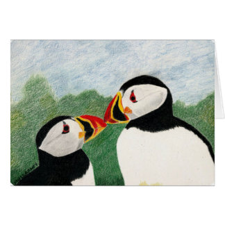 puffins