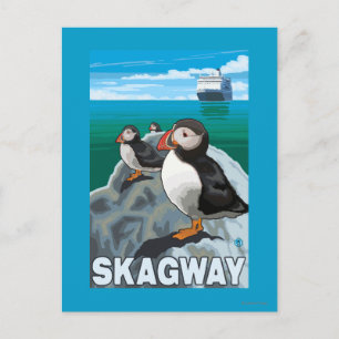 Puffins & Cruise Ship - Skagway, Alaska Postcard