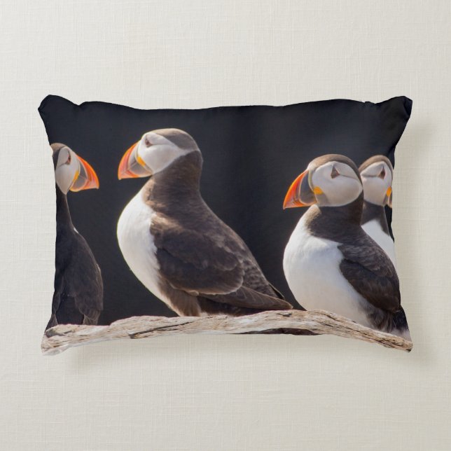 Puffins Decorative Cushion (Front)